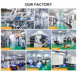 Chine DONGGUAN SEALAND PACKAGING BAG CO., LTD usine