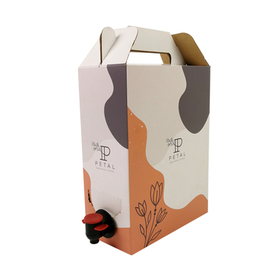 Boîte à café jetable personnalisée 1L/2L/3L avec valve de distribution