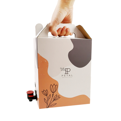 Boîte à café jetable personnalisée 1L/2L/3L avec valve de distribution