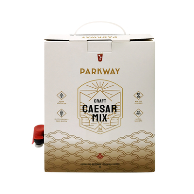 1L 1,5L 2L 3L 5L 96OZ BIB BAG Sac jetable en boîte Thé jus de café à emporter Boîte en papier avec distributeur