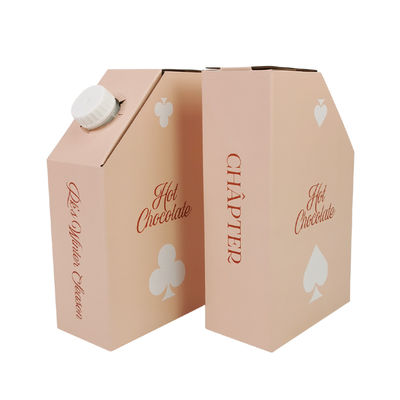 1L 1,5L 2L 3L 5L 96OZ BIB BAG Sac jetable en boîte Thé jus de café à emporter Boîte en papier avec distributeur