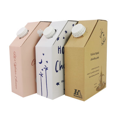 Sac en plastique BIB dans une boîte 1L boîte à café chaud emballage liquide