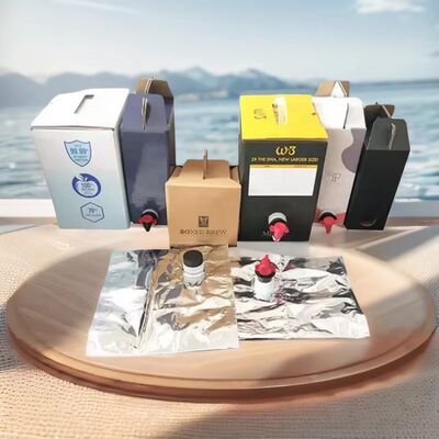 Sac de surface texturé en boîte contenant en plastique avec écouvillon adapté aux applications d'emballage liquide alimentaire