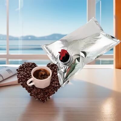 Sacs BIB personnalisés en boîte avec robinet de distribution, idéaux pour l'emballage de vin, jus, huile et autres produits liquides