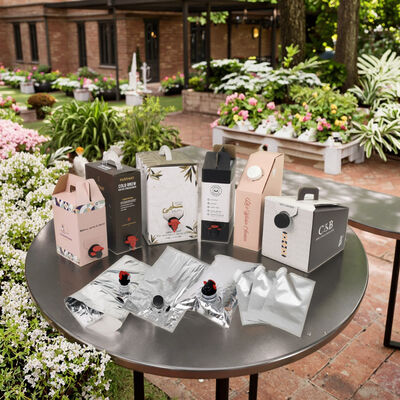 Sacs BIB personnalisés en boîte avec robinet de distribution, idéaux pour l'emballage de vin, jus, huile et autres produits liquides