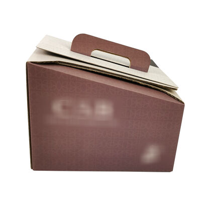 Customized Bag In Box Packaging Solutions Plastic Durable Leak Resistant Container for Liquid Storage and Transport