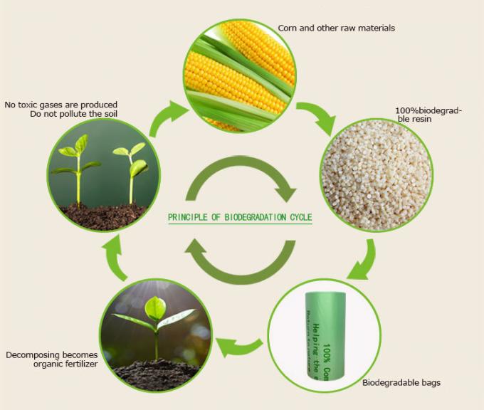 Poly annonces 100% biodégradables écologiques faites sur commande embarquant des sacs d'annonce biodégradables avec le logo